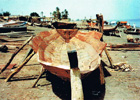 Boat Yard in Abou Rouf at the Nile in Omdurman